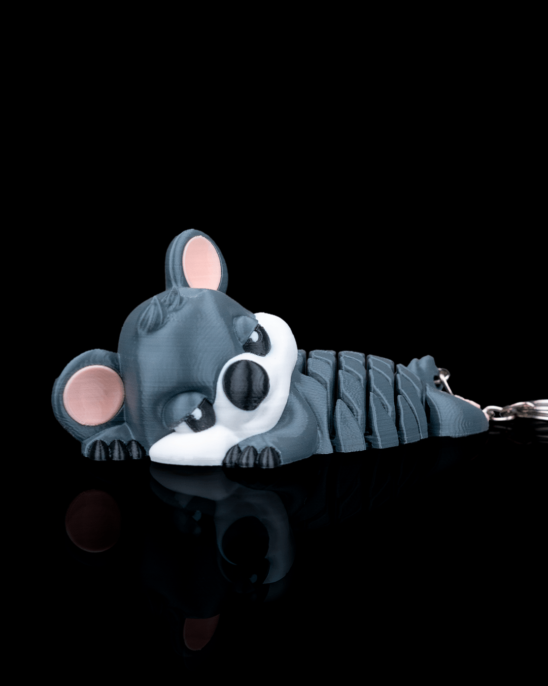 Lara, a Coala - Imagem 3